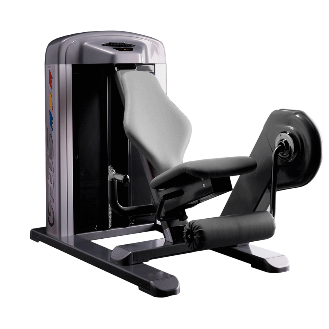 Machine Leg Extension WP06